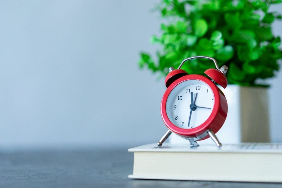 Red clock sat on a book in front of a money tree plant. 