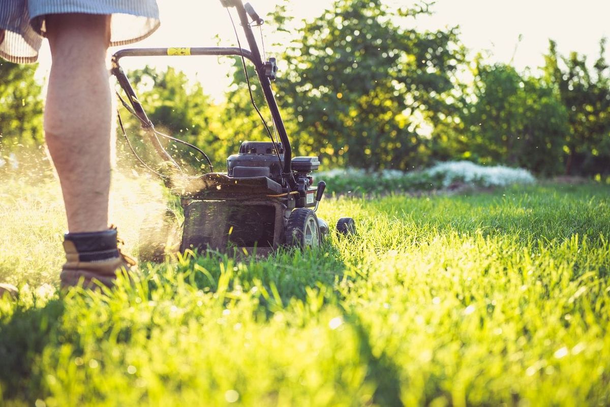 Cutting grass. 