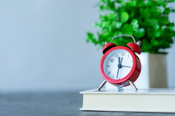 Red clock sat on a book in front of a money tree plant. 