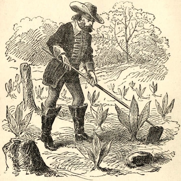 THE STOLEN SEED