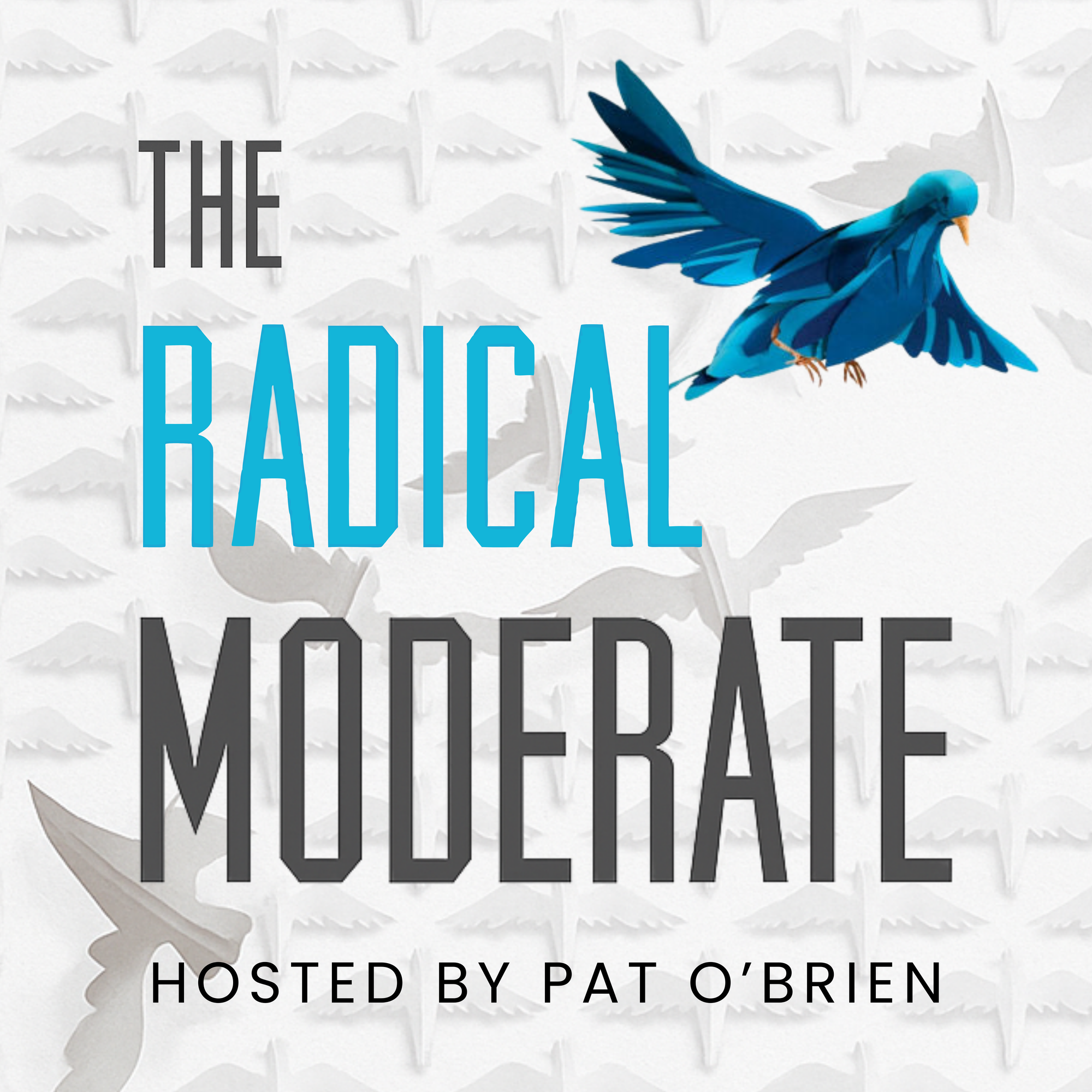 The Radical Moderate