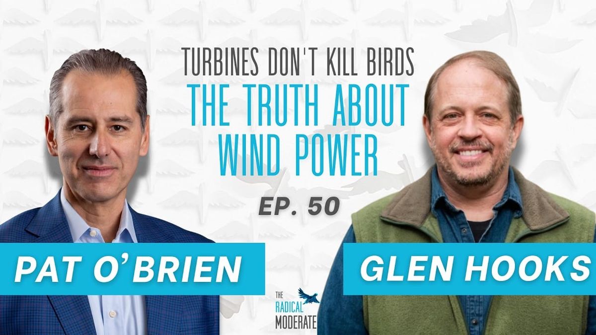 Ep. 50 - Wind Energy Myths: The Truth About Turbines and Birds with Glen Hooks