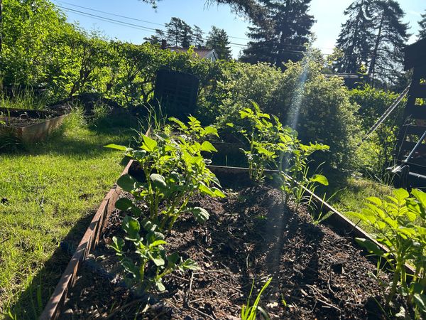 Using churn as a strategic asset — a board perspective