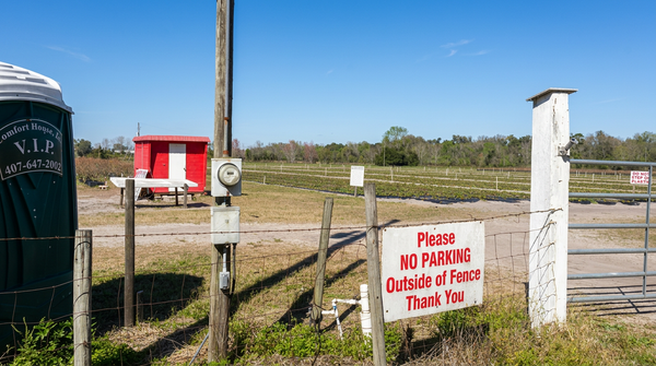 Seminole's Rural Boundary Fight Left Tallahassee. Now It's Back Home.