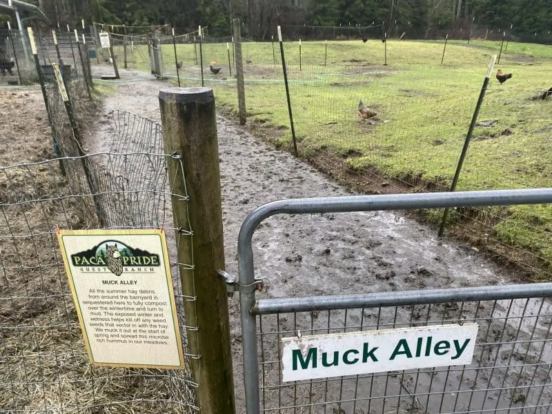 Out on the Ranch | Finding Our Grounding: Dirt, Roots, and the Work of Spring