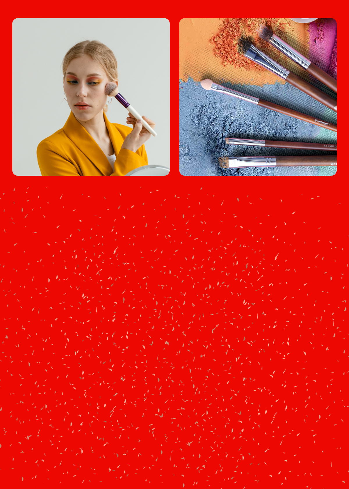 Brochas de Maquillaje: Guía Para Elegir La Mejor Para Ti