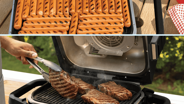 Try It Once, Love It Forever! Reviewing Ninja Smoker Grill Air Fryer