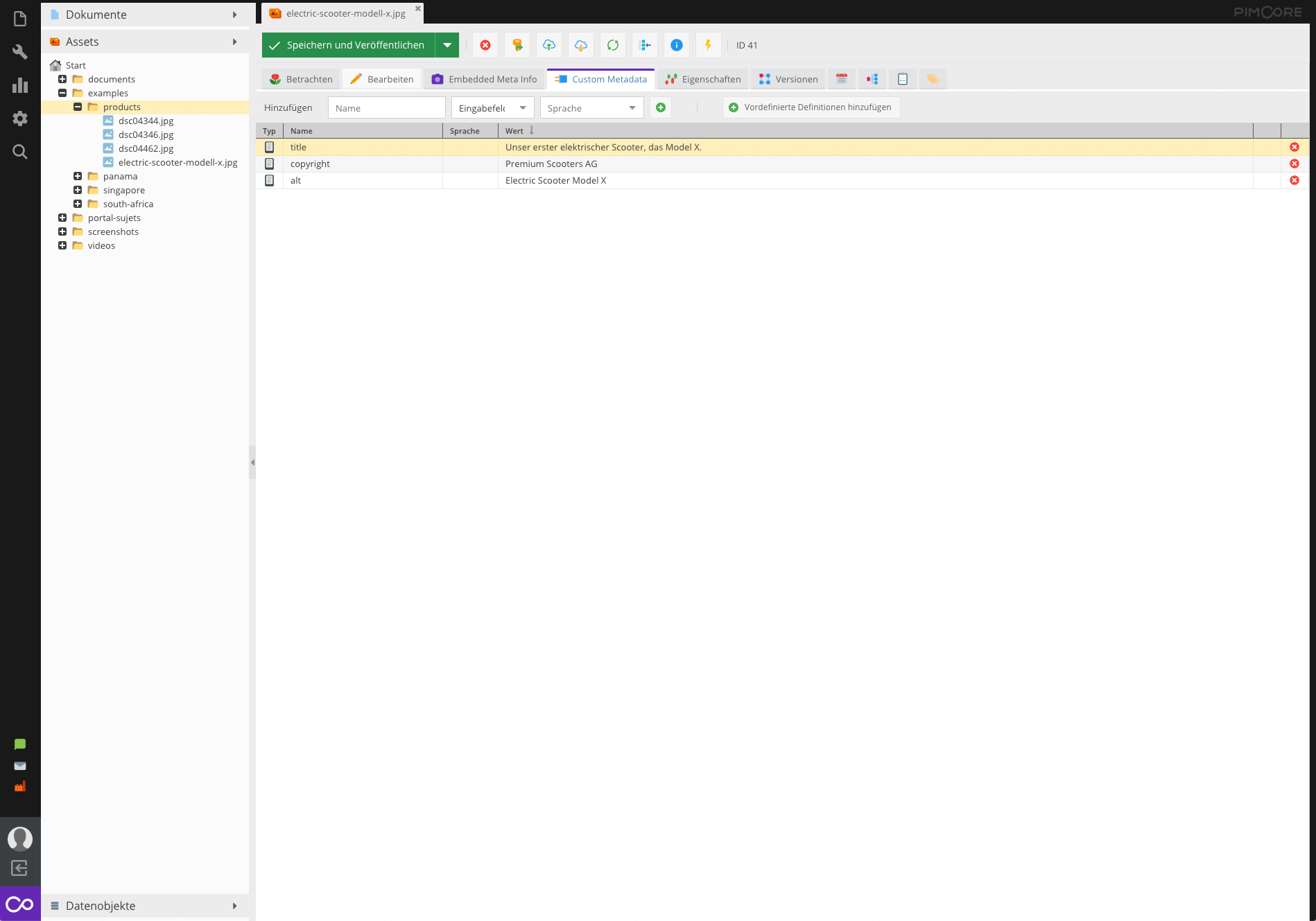 Assets Metadaten im Pimcore-Backend