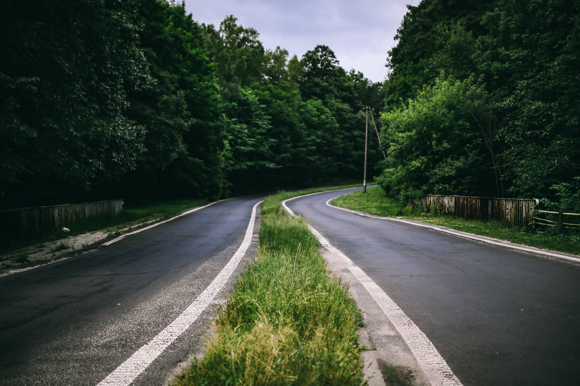 Strasse durch Waldgebiet