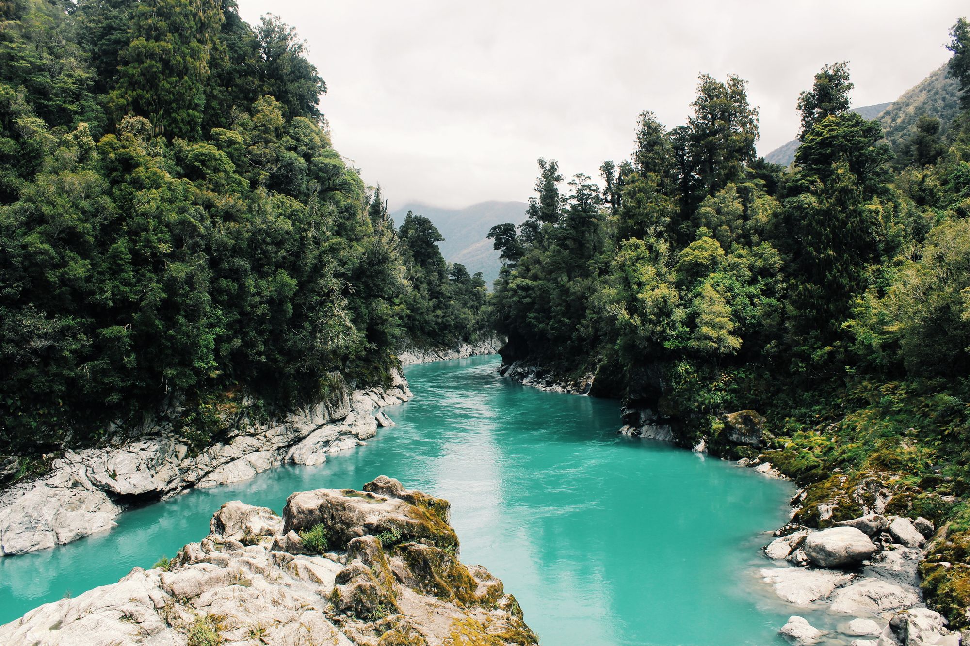 Fluss durch einen Wald