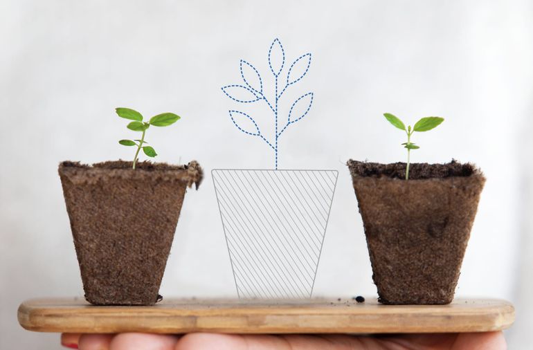 Growing your digital Experiences – Der Weg zu digitalem Erfolg