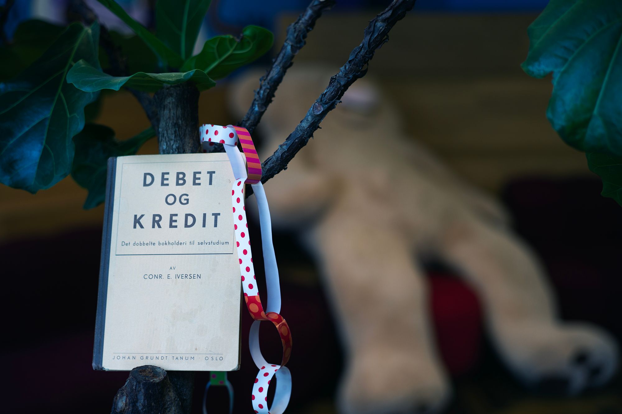 Fotografi av en bok om debet og kredit