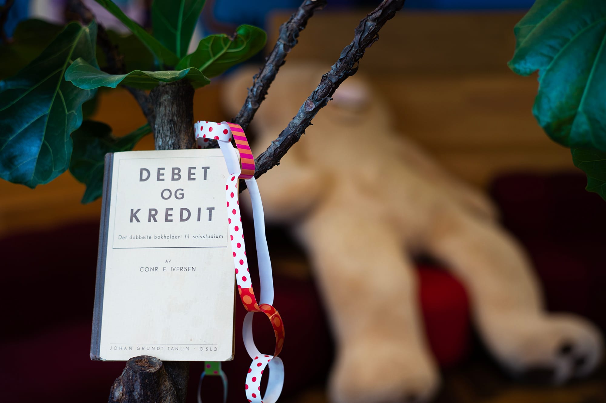 Fotografi av en bok om debet og kredit.