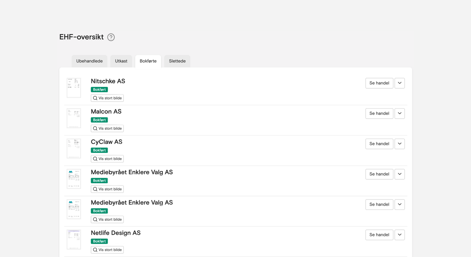 Skjermbilde av EHF-oversikt i Fiken