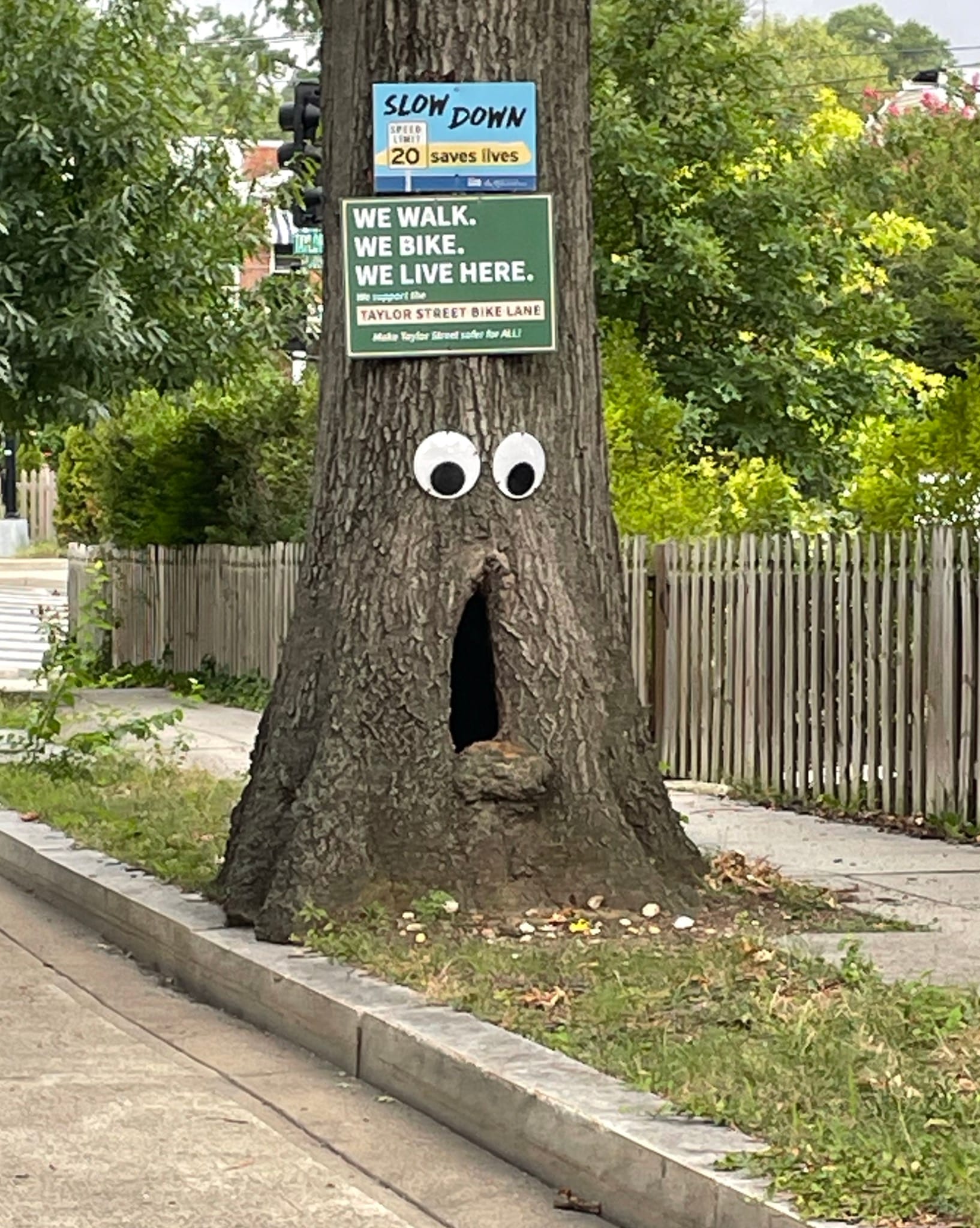 A tree with a large mouth looking cavity and googly eyes make it look like a muppet. Signs promoting community safety are tacked above the "face".