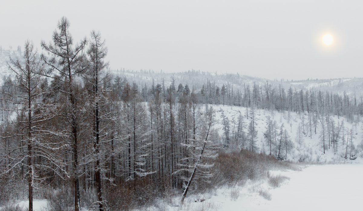 Millions Battle Seasonal Depression this Time of Year. Dr. Uma Naidoo Says Here's How to Beat It