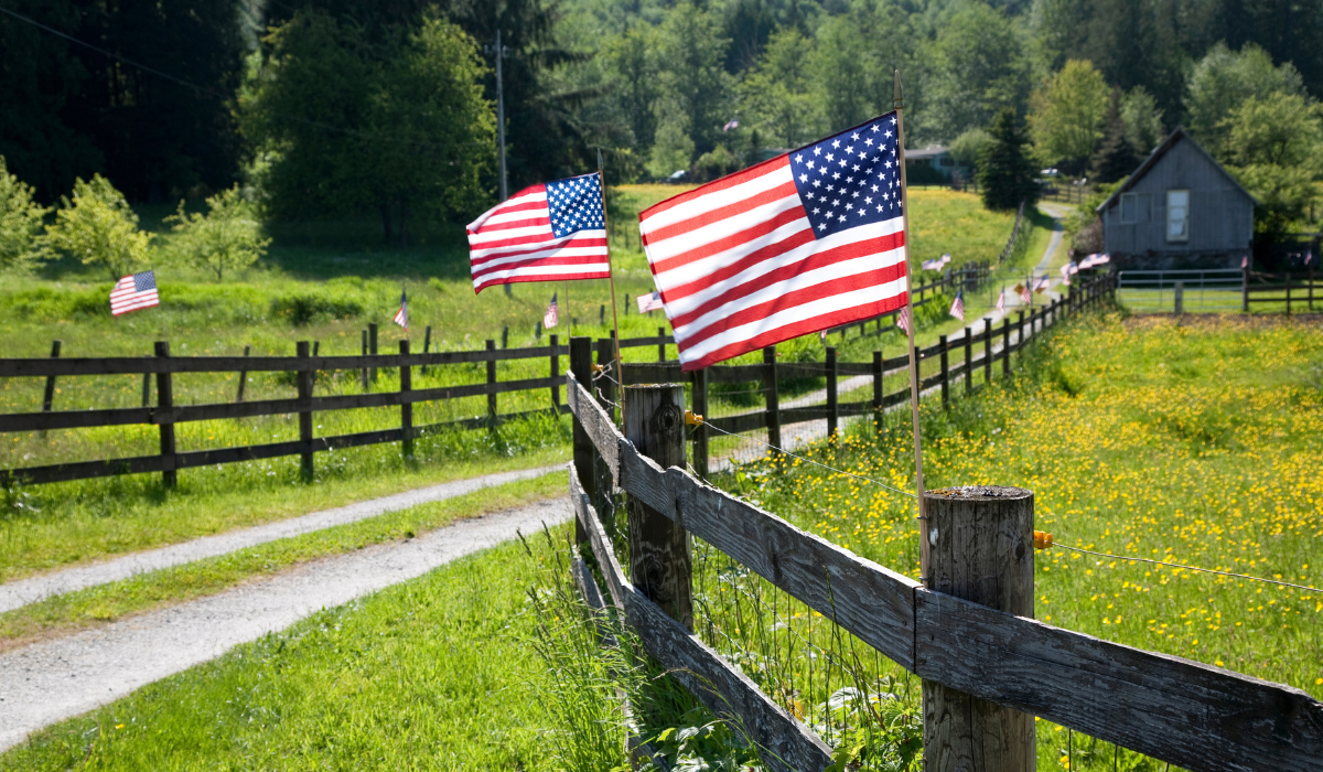 News Above the Noise—Week of June 30, 2024