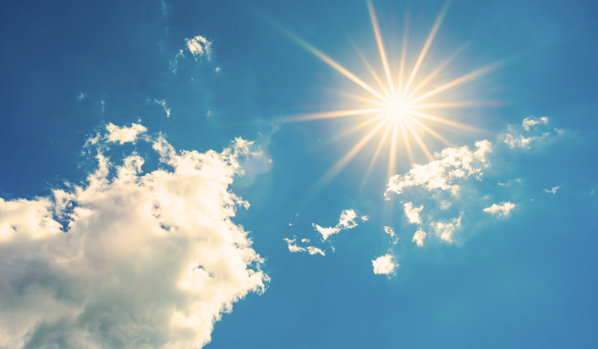 News Above the Noise—Week of June 9, 2024