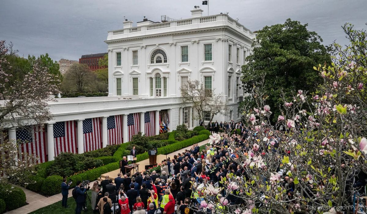 News Above the Noise—Week of April 6, 2025