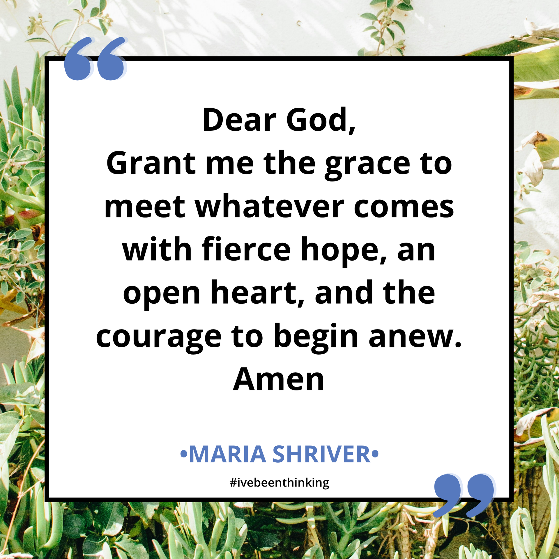 Begin Anew