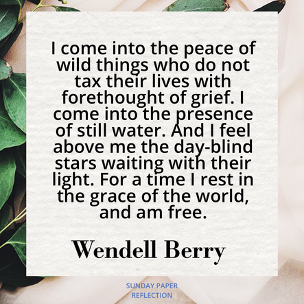 Cream beige image with green leaves. Wendell Berry on rest, full text on page below.