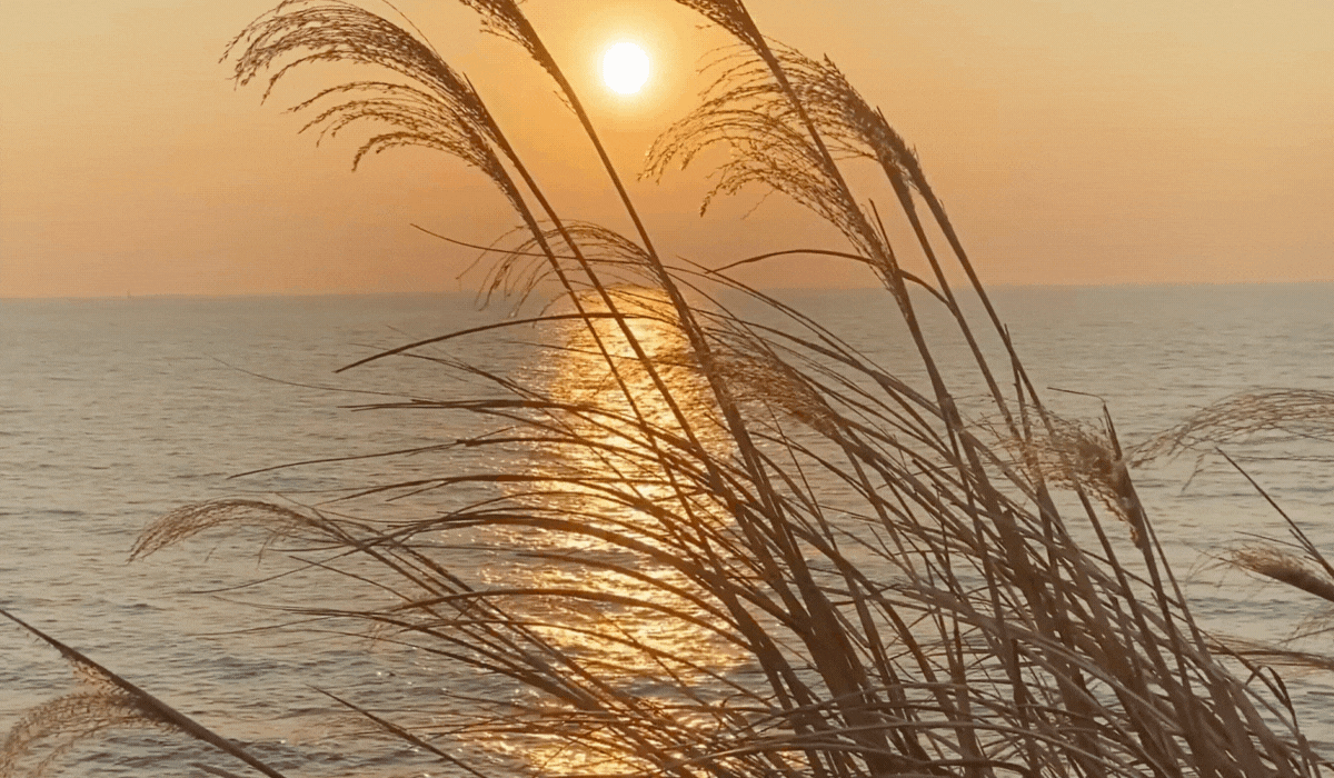 A breezy beach scene.
