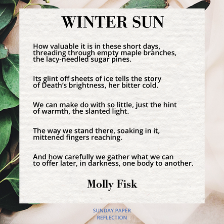 Cream beige image with green leaves. Winter Sun by Molly Fisk, full text on page below.