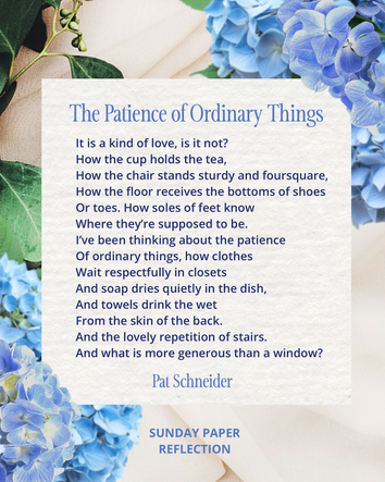 The Patience of Ordinary Things by Pat Schneider.