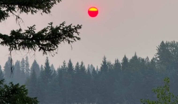 The smokey sky from the wildfires