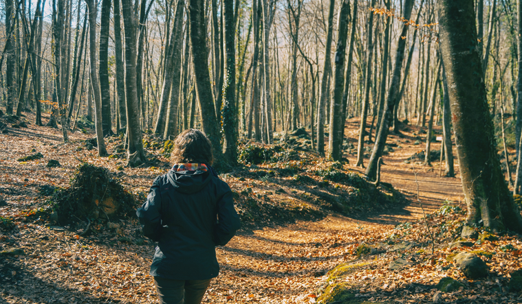 Woman walking in woods