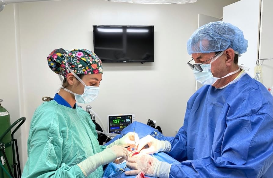 Two people in surgical gowns and masks work on a patient.