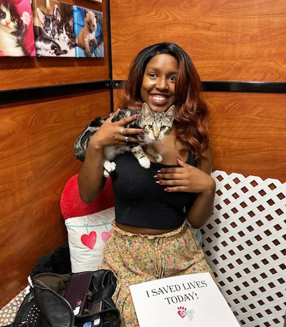 A woman has a cute gray cat perched on her shoulder.