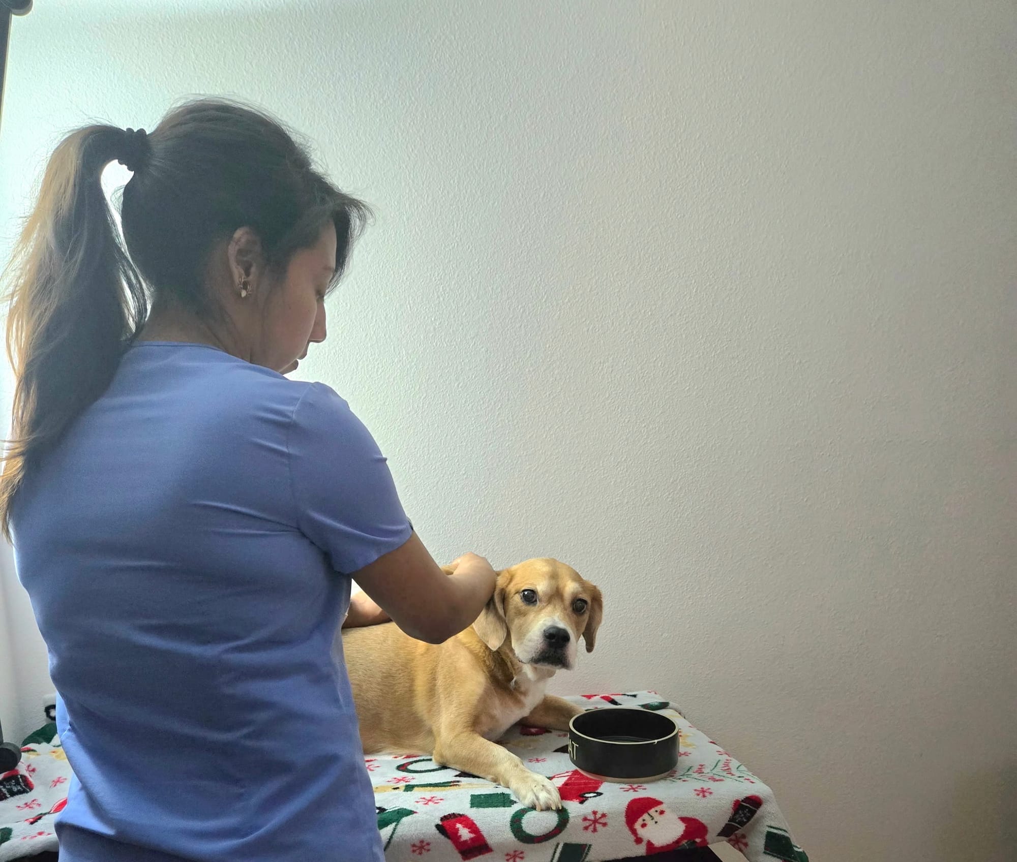 A woman places her hands on a sweet looking dog.