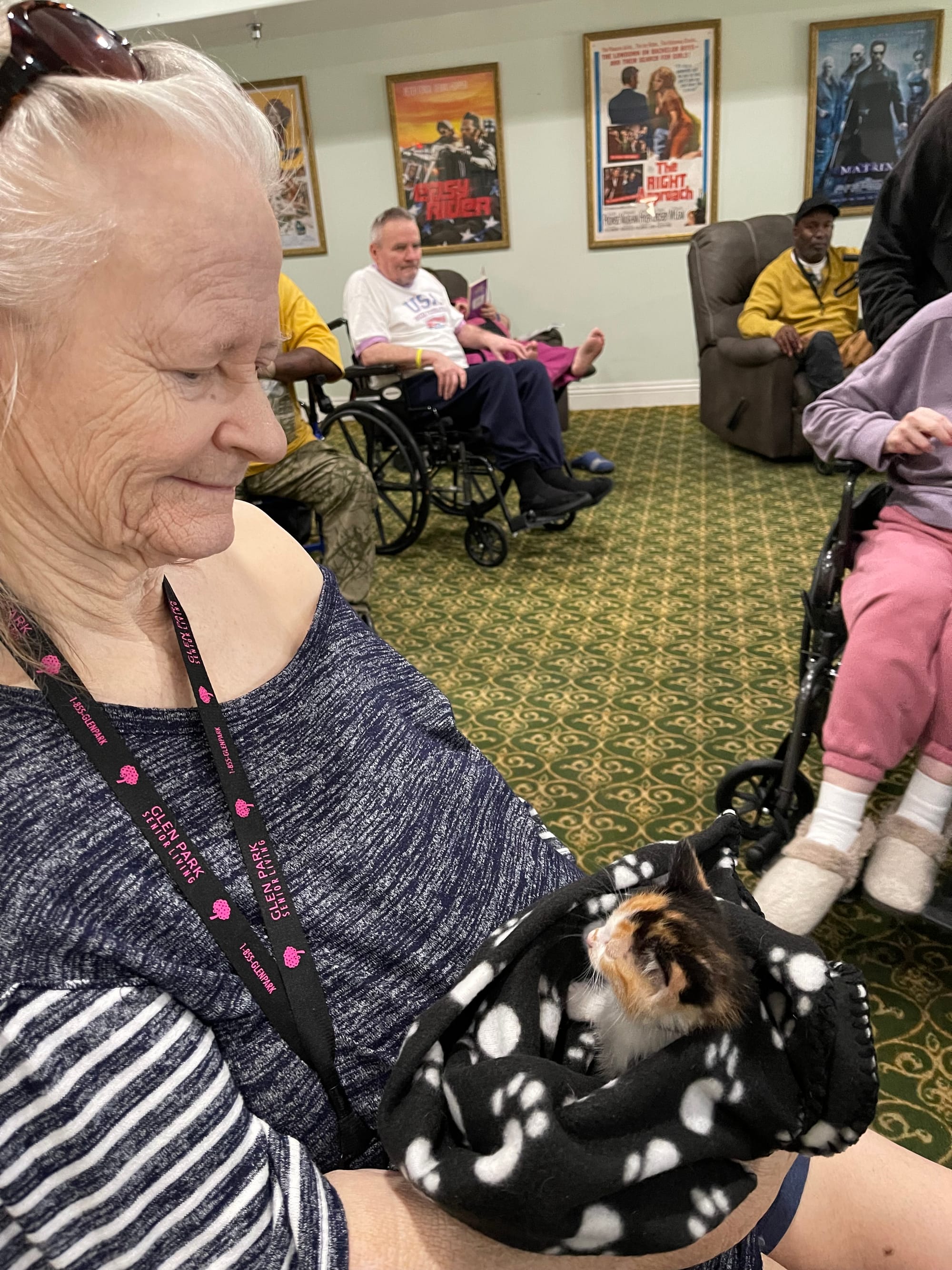 A woman holds a tiny orange, black and white kitten.