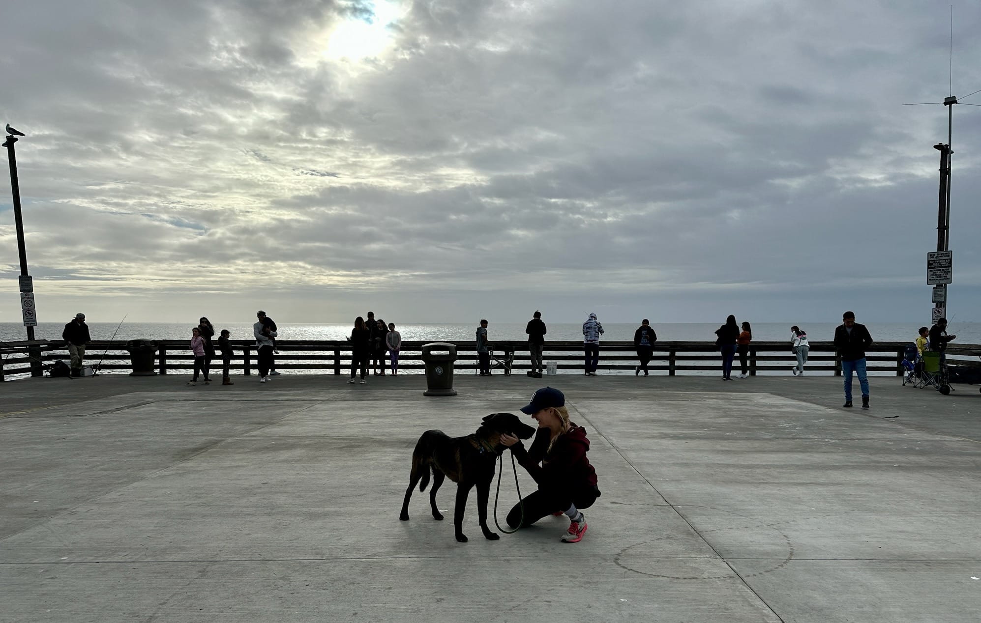 A woman kneels down to pet a dog on the edge of a pier on a cloudy day.