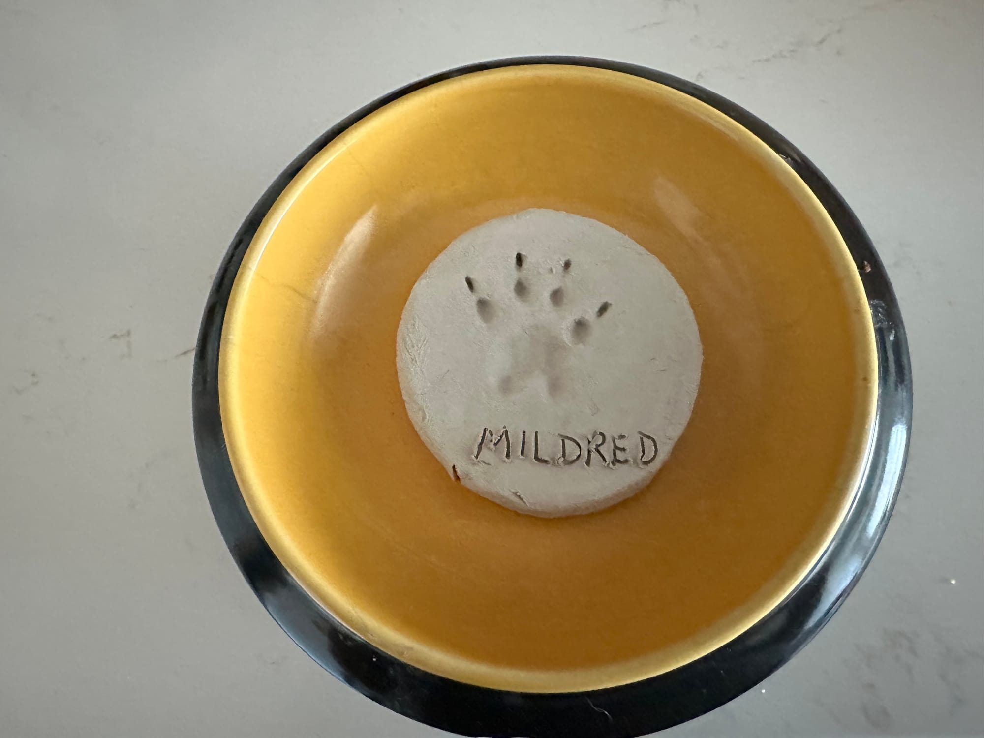 Clay paw print labeled "Mildred."