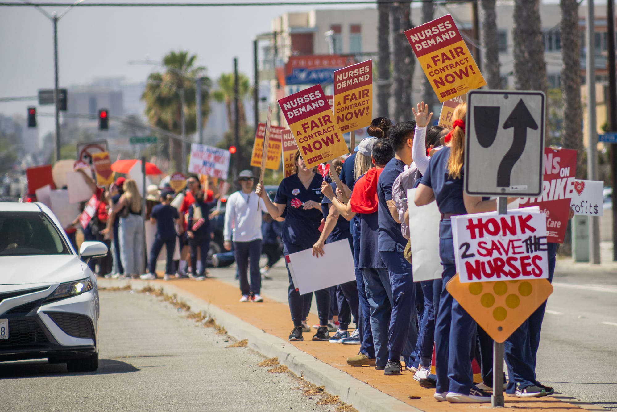 Many people stand on a the street holding signs while a white car passes them.