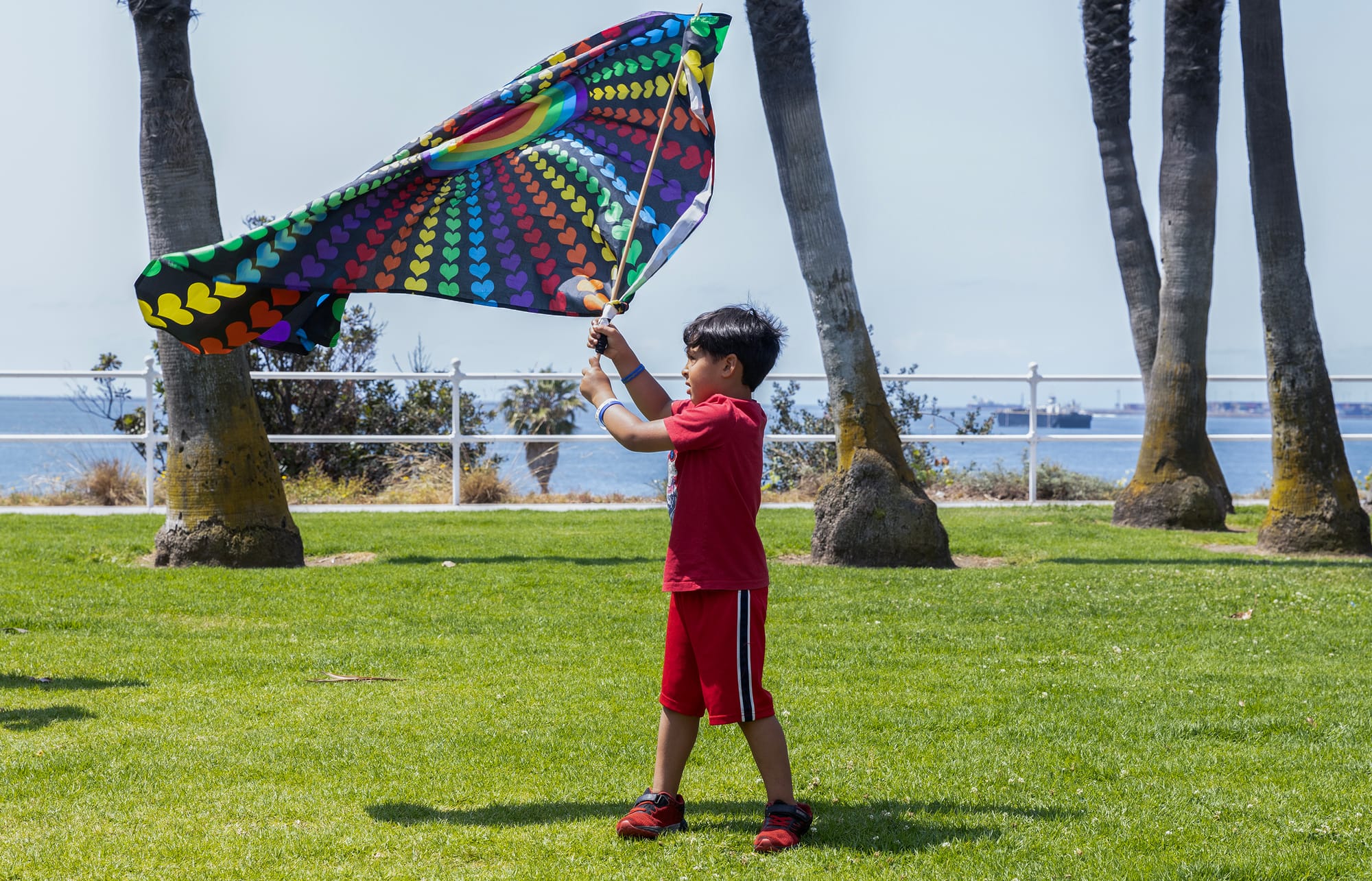 A boy stands on grass while waving a colorful flag.