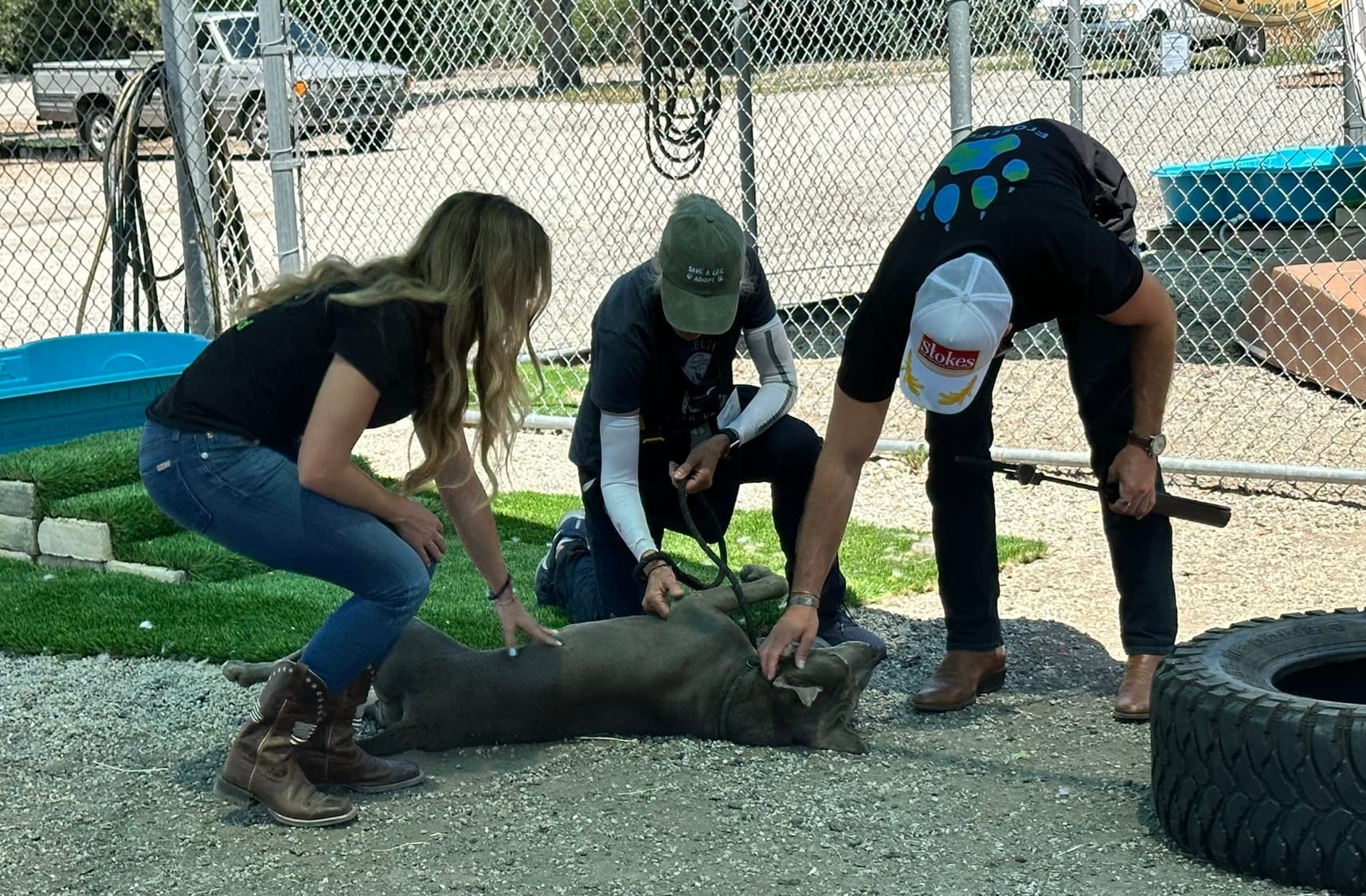 Three people pet a dog that is laying on the ground.