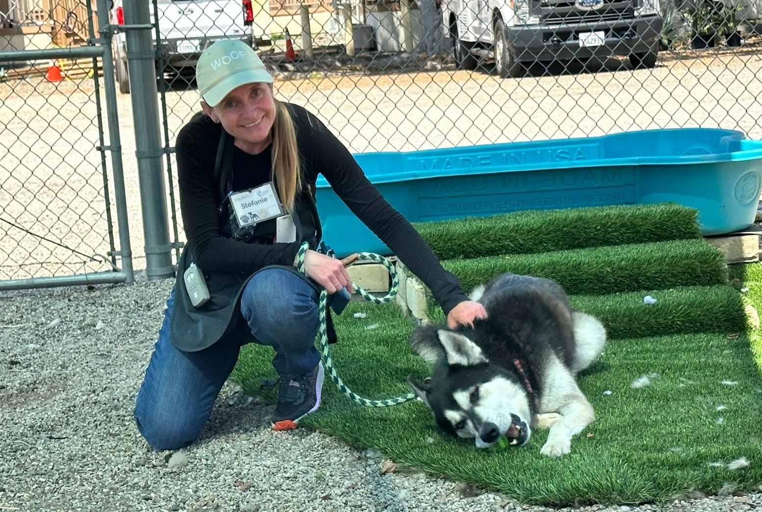 A woman pets a white and gray dog that is chewing on a toy.