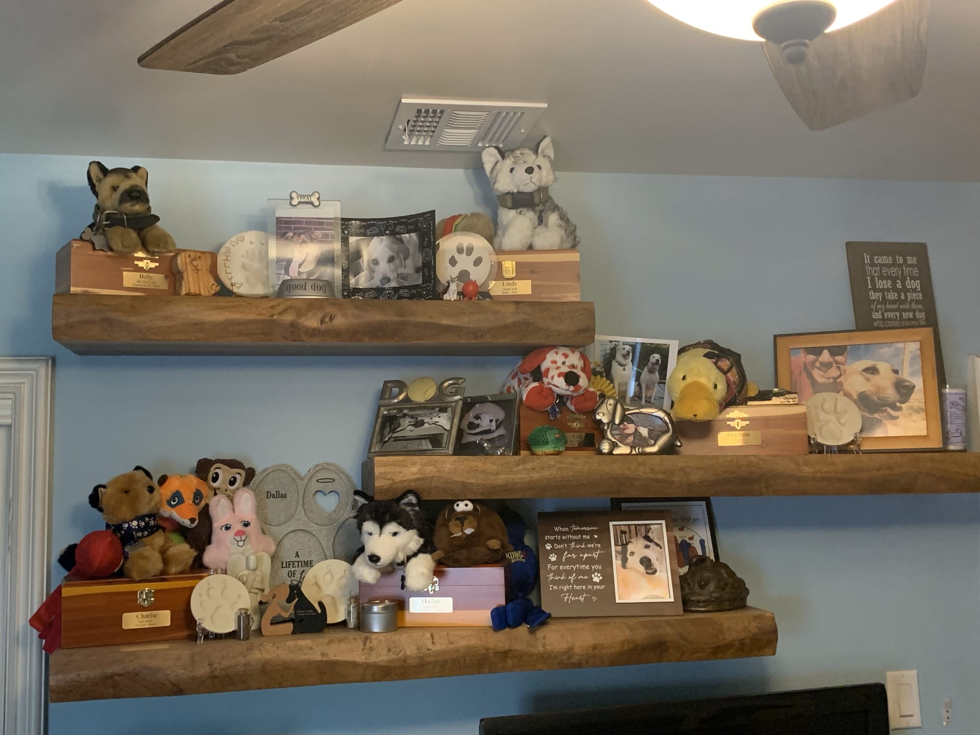 Multiple shelves loaded with photos of dogs and small dog toys.