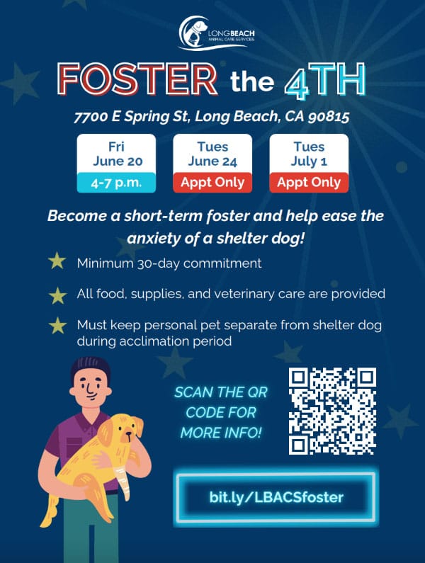 An image for an event titled "Foster the 4th."