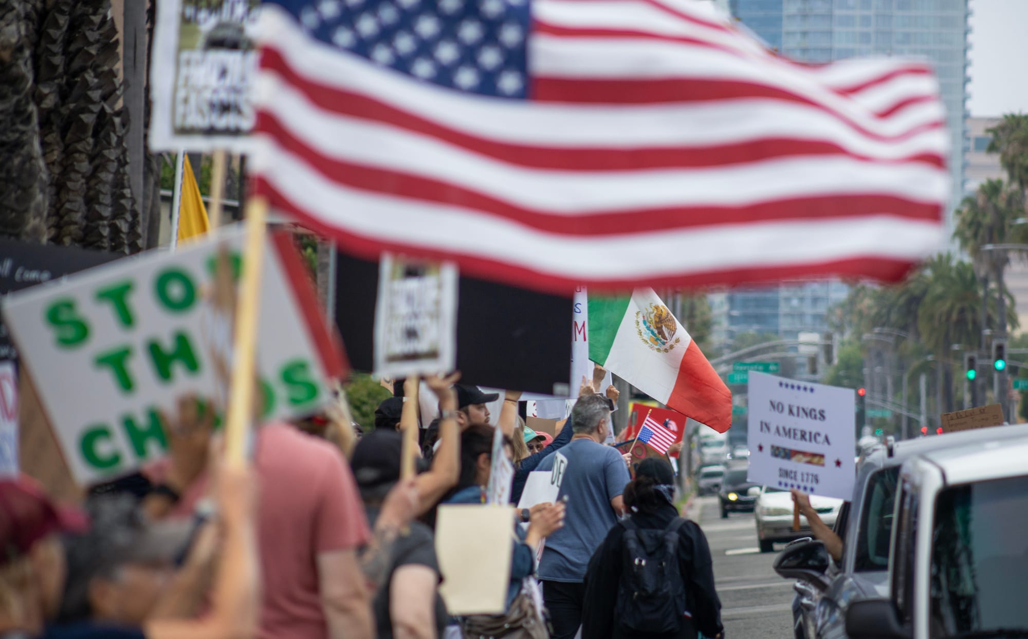 Demonstrators hold a variety of signs and flags on the street.
