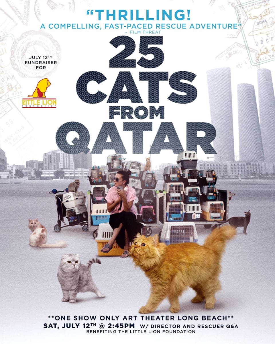 Movie poster for the film "25 Cats from Qatar."