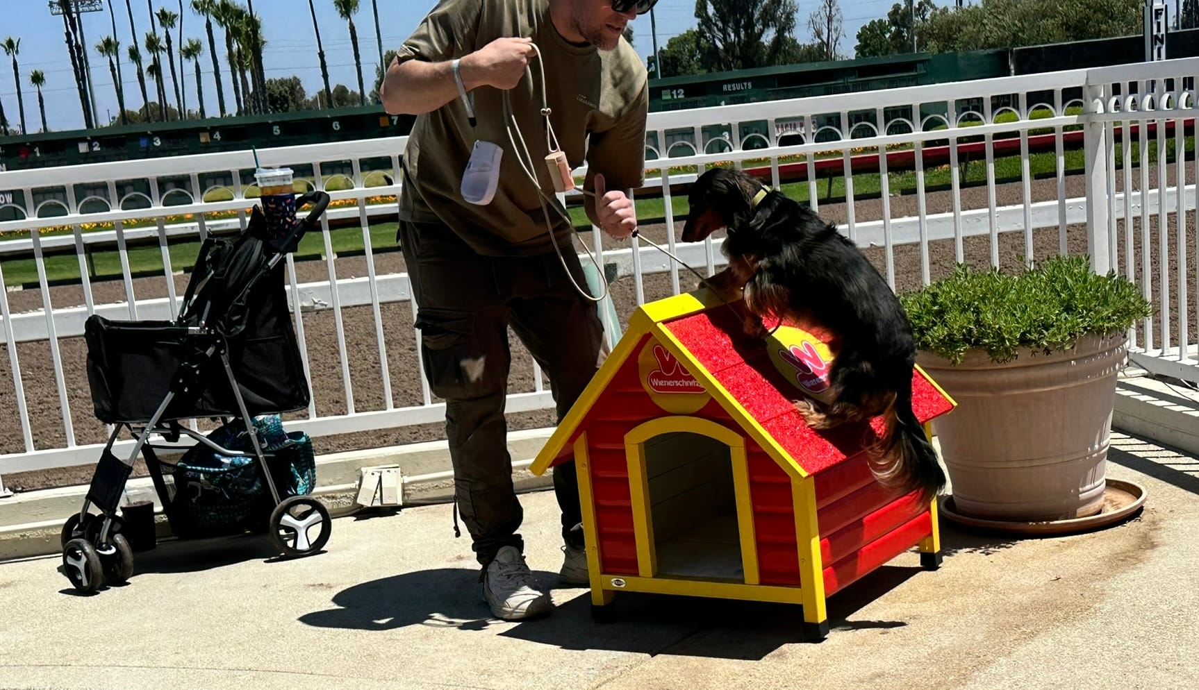 A man stands next to a black dog climbing atop a red and yellow doghouse.
