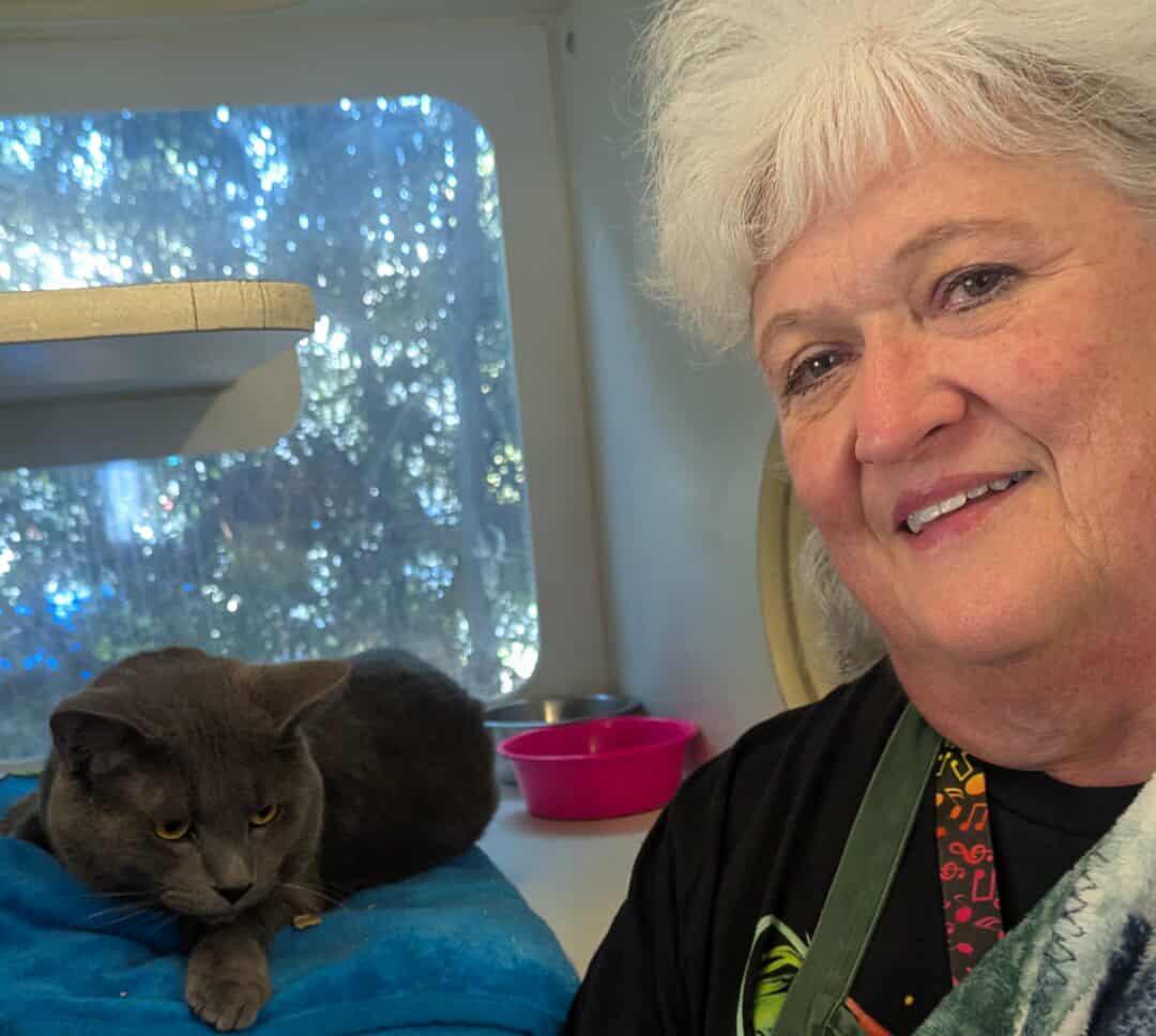 A woman is next to a sweet gray cat.