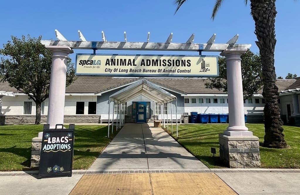 Arch in front of a white building holding a sign saying "spcaLA Animal Admissions."