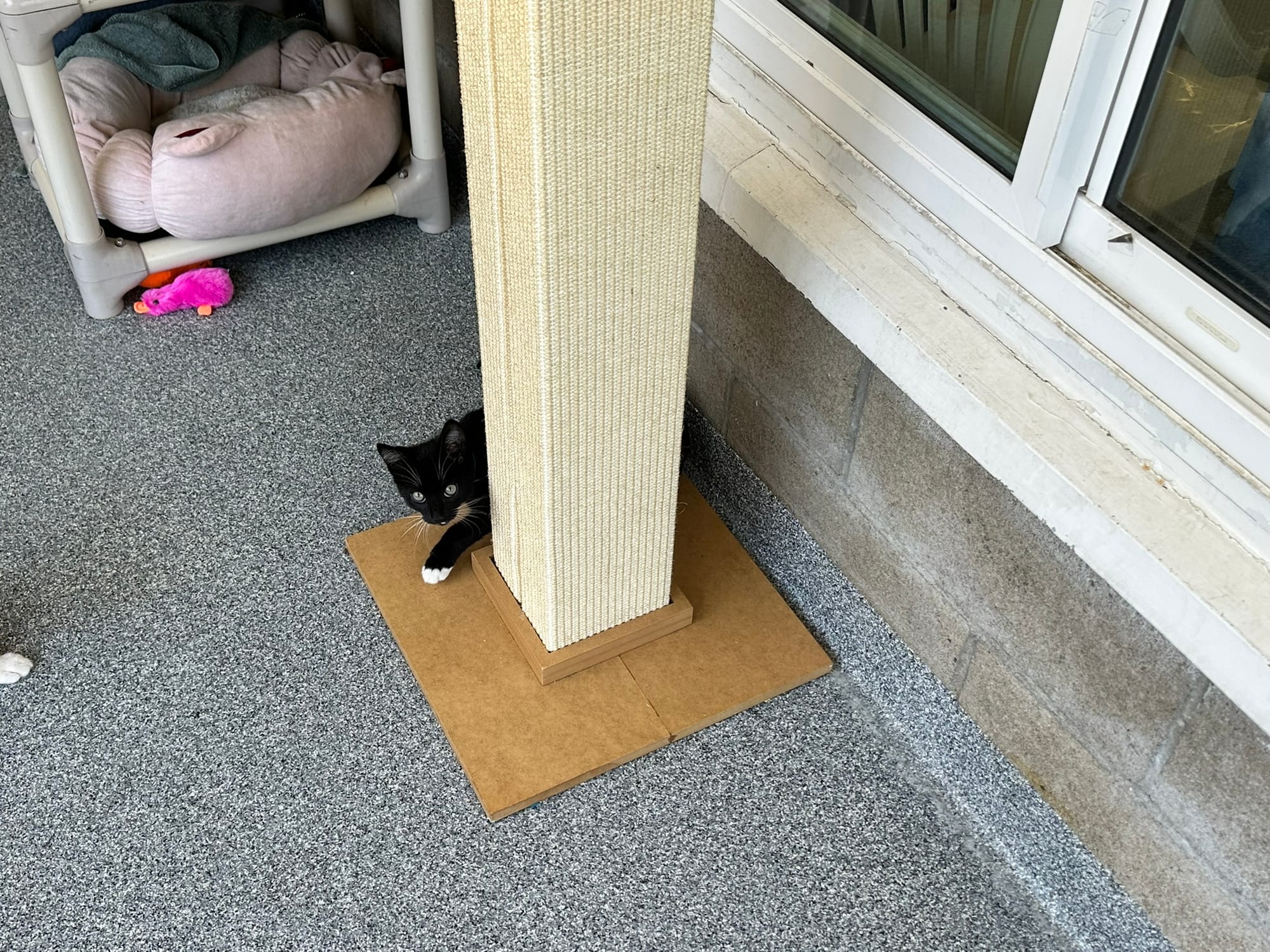 A black kitten with a white paw hiding behind a scratching post.