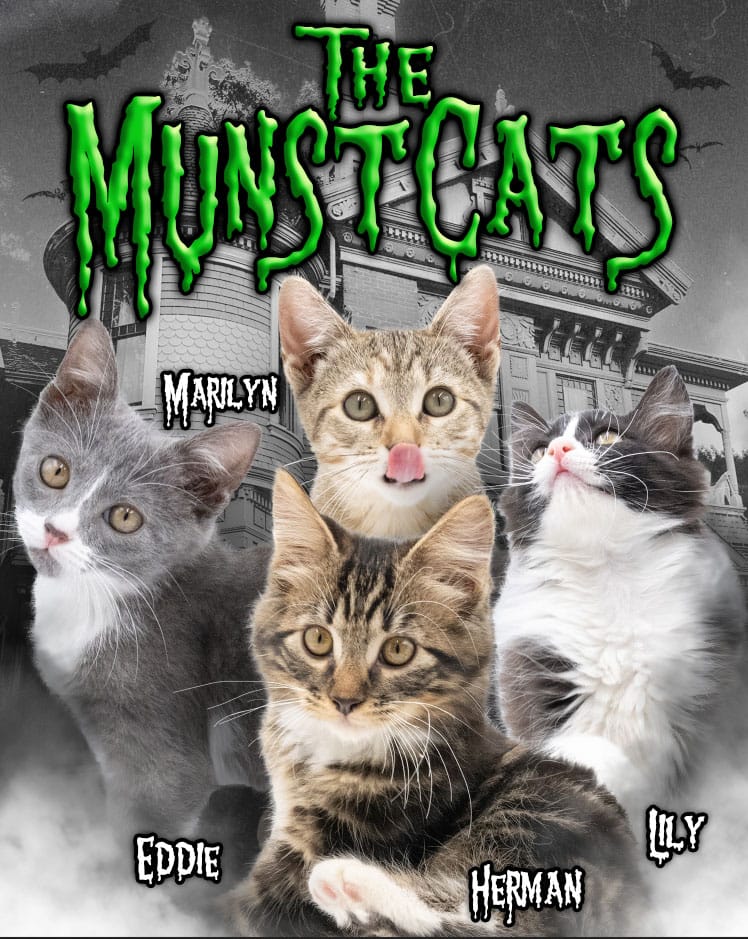 Four cats under the caption "The Munst Cats."