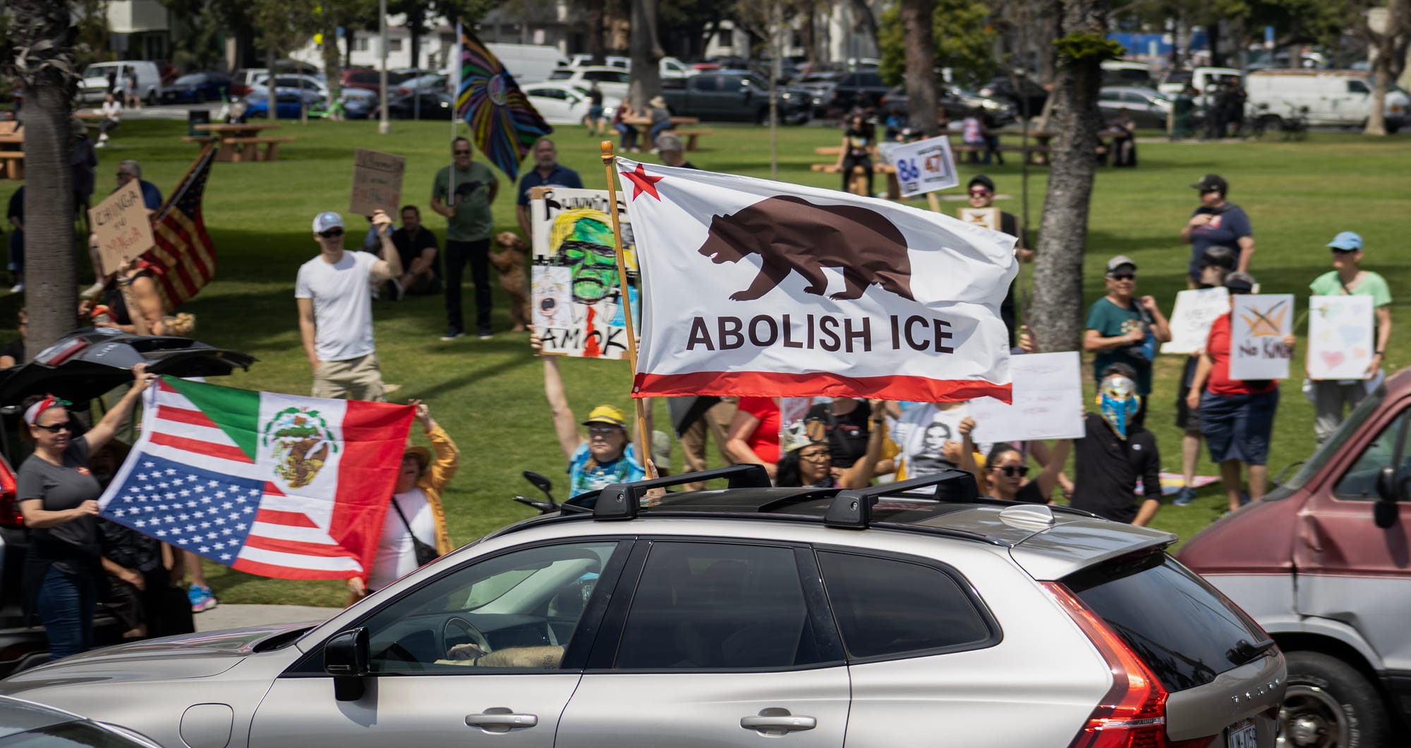 A person in a gray car waves a large flag with a bear on it and the words "Abolish ICE."